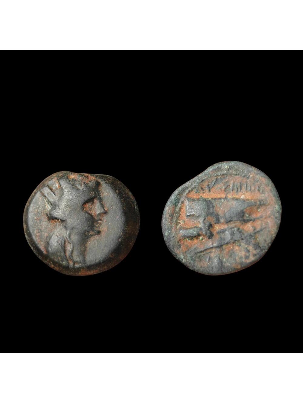 Ancient Greek Phoenicia, Arados. 2nd Century B.C. Head of Tyche Gallery